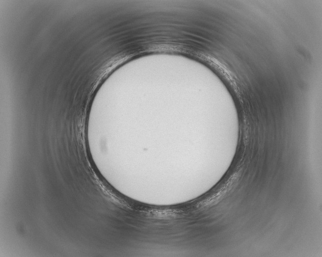 X0000115741041200912101310