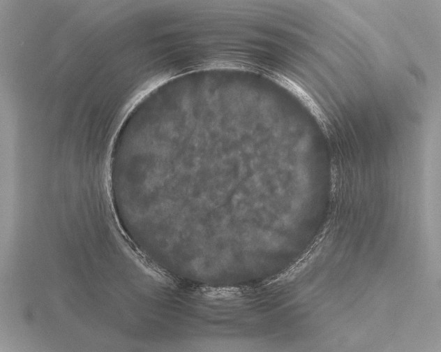 X0000115741043200912101310