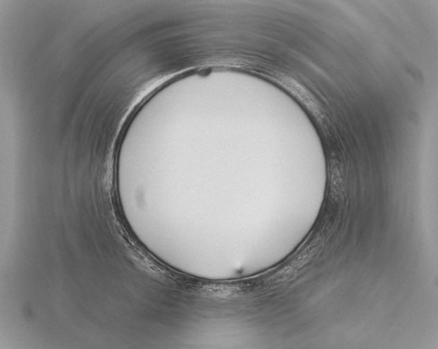 X0000115741044200912101310