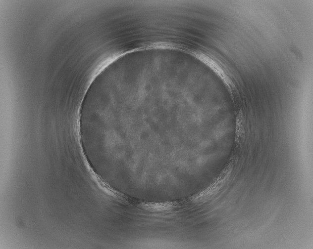 X0000115741047200912101310