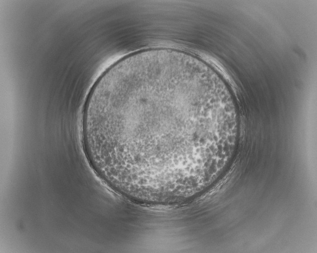 X0000115741048200912101310