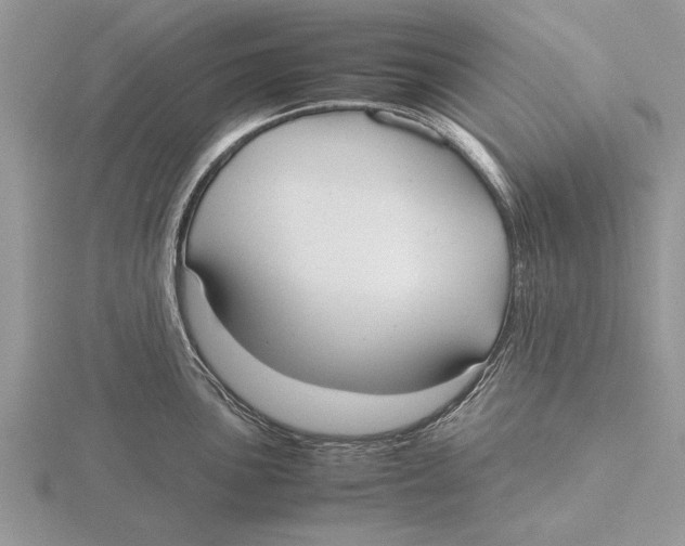 X0000115741051200912101310