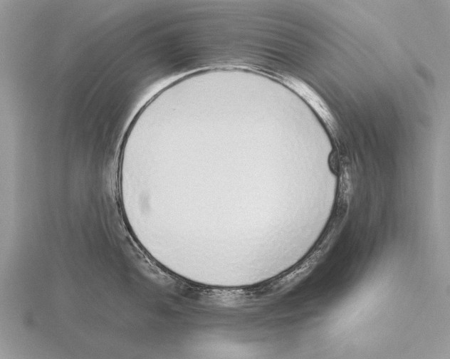 X0000115741052200912101310