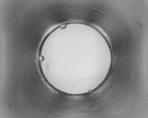 X0000115741053200912101310