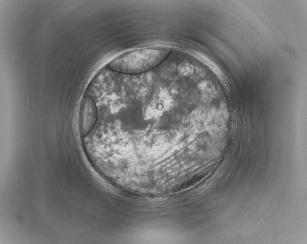 X0000115741055200912101310