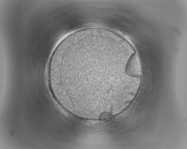 X0000115741056200912101310