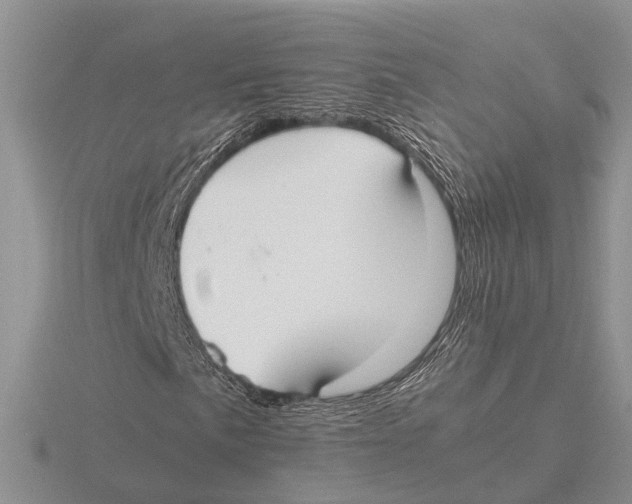 X0000115741057200912101310