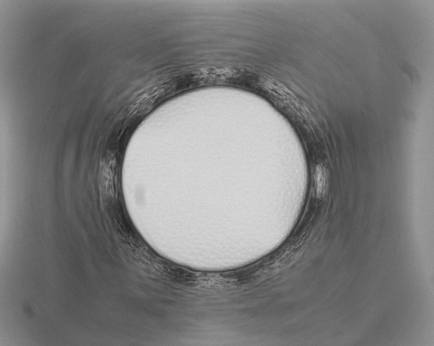 X0000115741059200912101310