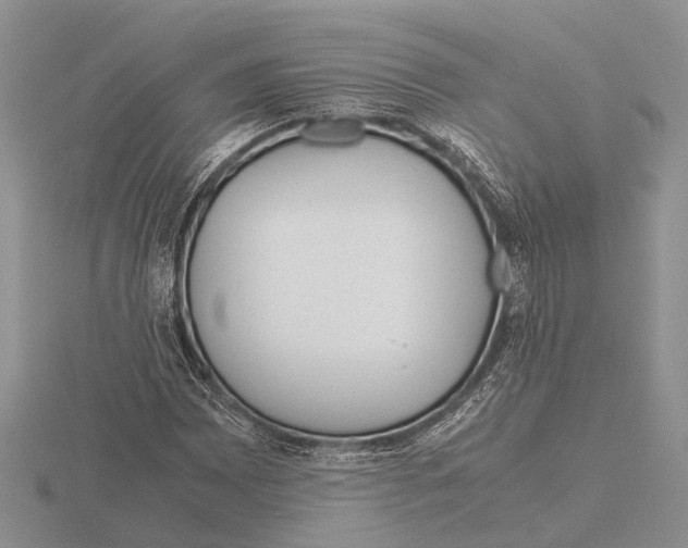 X0000115741065200912101309