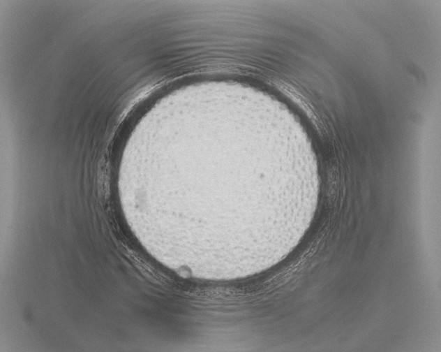 X0000115741067200912101309