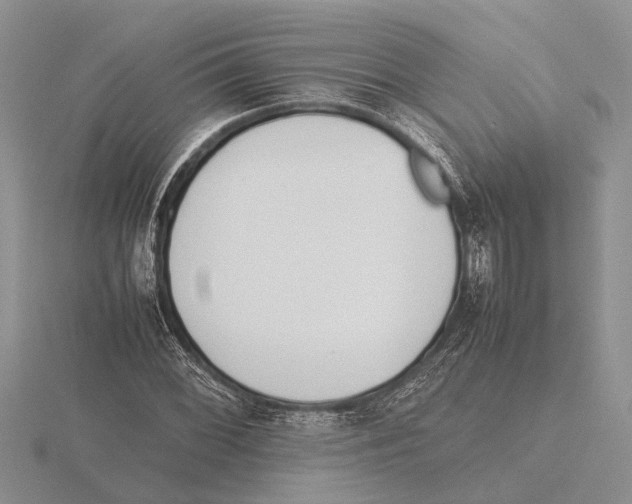 X0000115741068200912101309