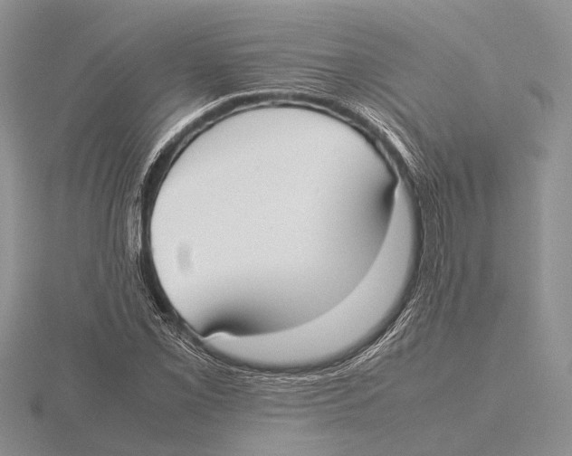 X0000115741069200912101309