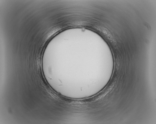 X0000115741073200912101309