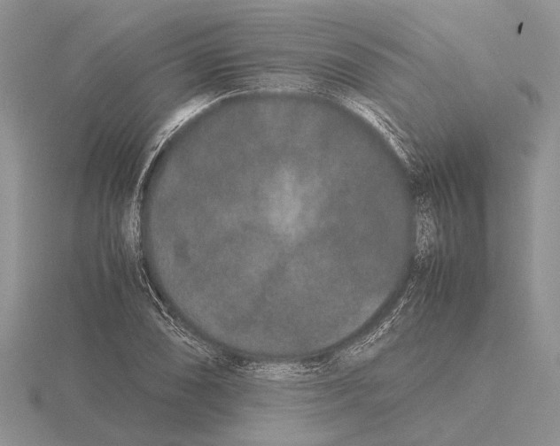 X0000115741074200912101309