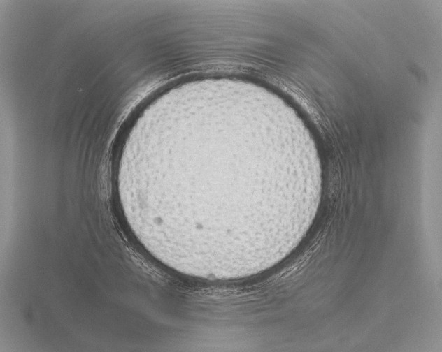 X0000115741075200912101309