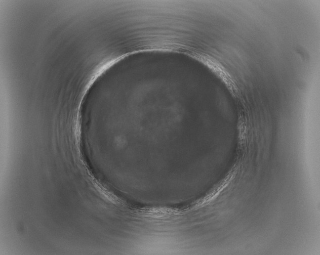 X0000115741077200912101309