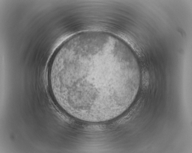 X0000115741078200912101309