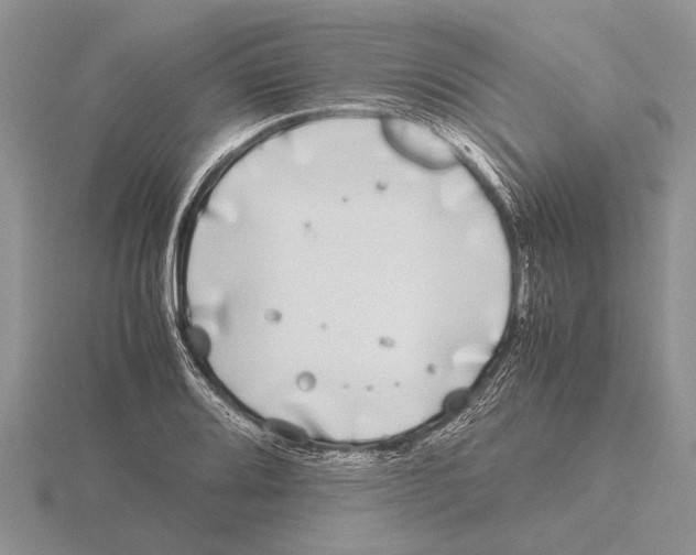 X0000115741080200912101309