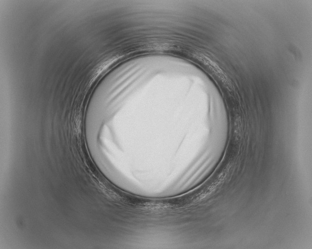 X0000115741081200912101309