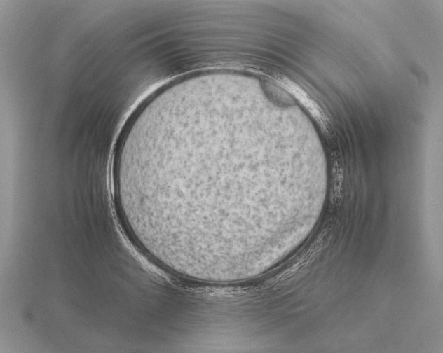 X0000115741084200912101309