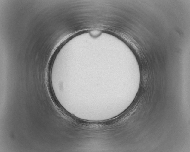 X0000115741085200912101309