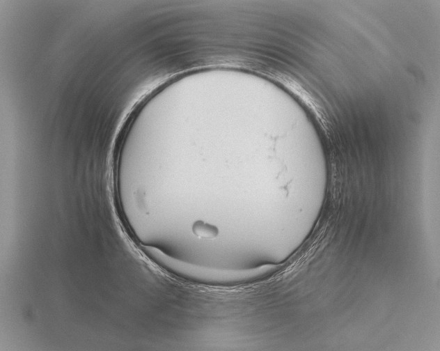 X0000115741088200912101309