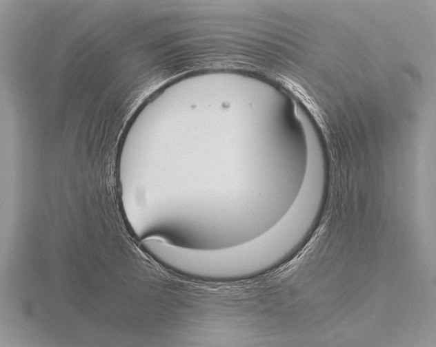 X0000115741089200912101309