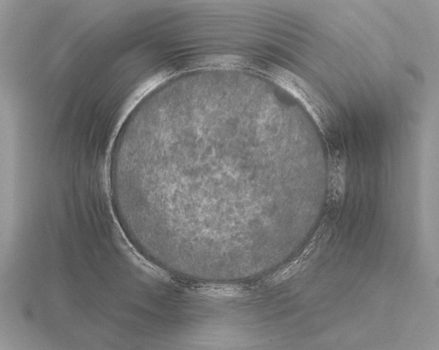 X0000115741090200912101309