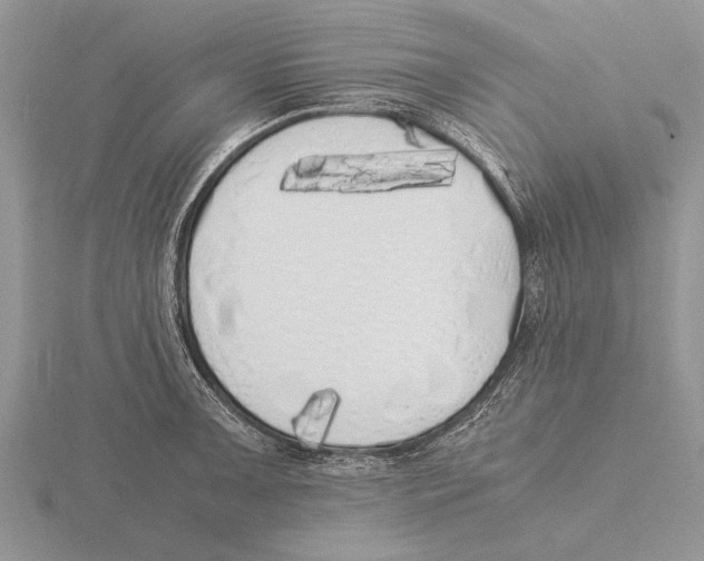 X0000115741091200912101309