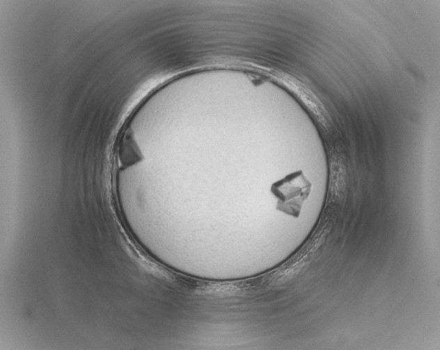 X0000115741094200912101309