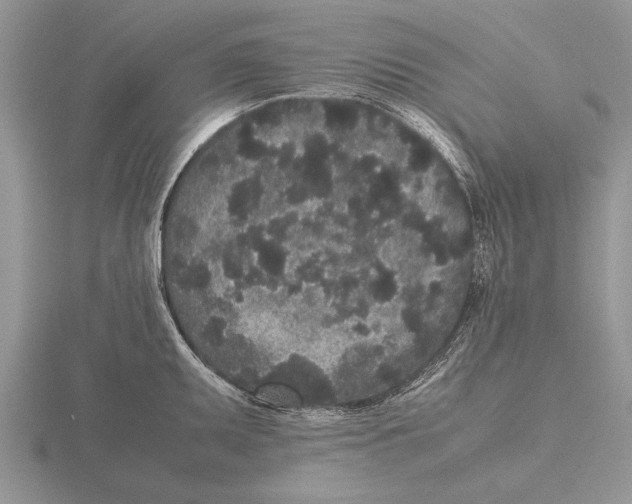 X0000115741095200912101309