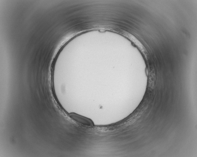 X0000115741096200912101309