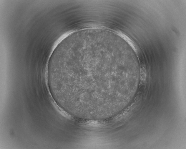 X0000115741098200912101309