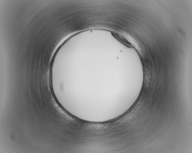 X0000115741100200912101309