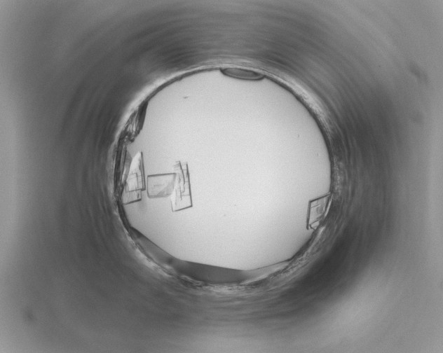 X0000115741102200912101309