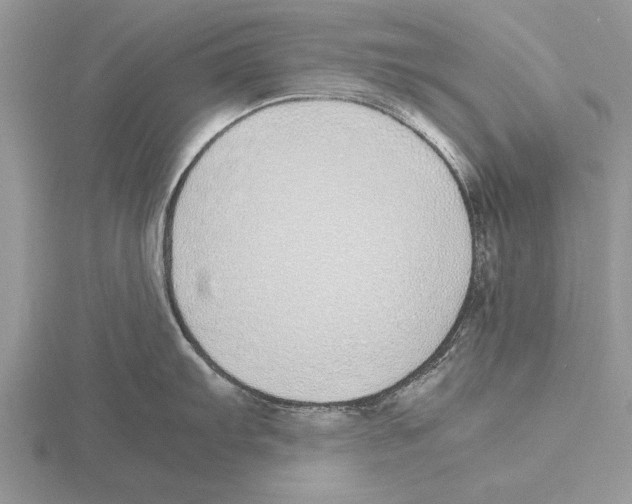 X0000115741103200912101309