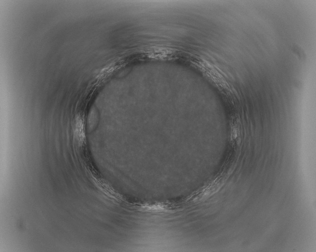 X0000115741106200912101308