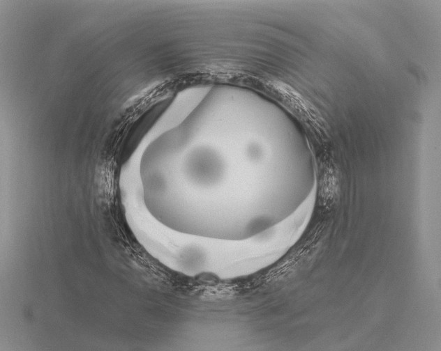 X0000115741110200912101308