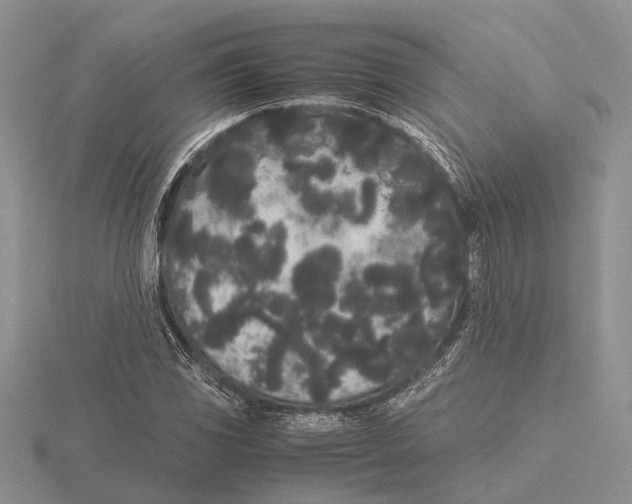 X0000115741117200912101308