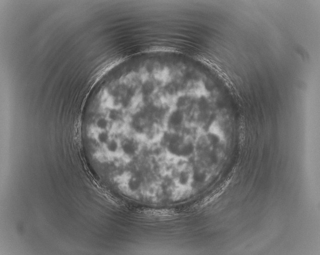 X0000115741121200912101308