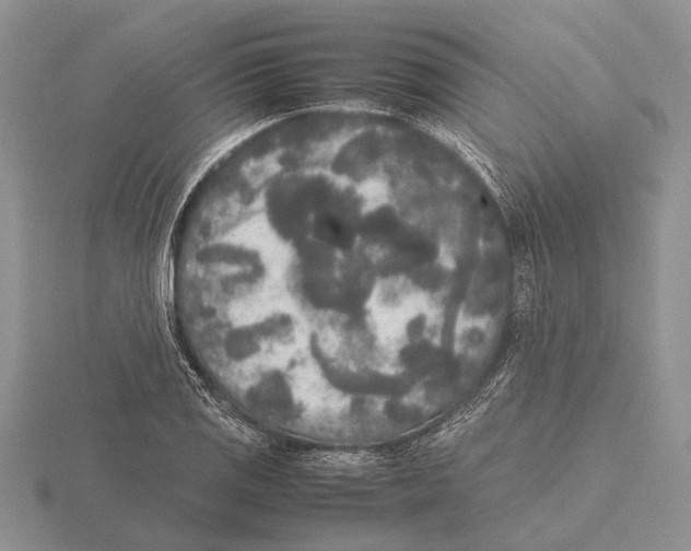 X0000115741125200912101308