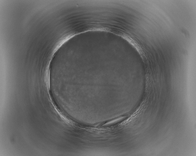 X0000115741127200912101309