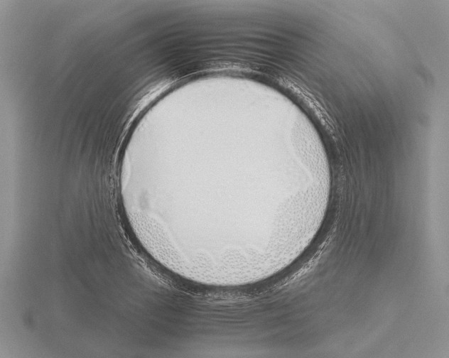 X0000115741129200912101309