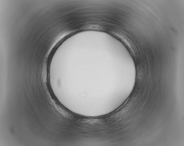 X0000115741131200912101309