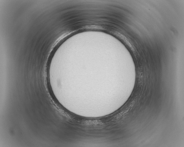 X0000115741133200912101309