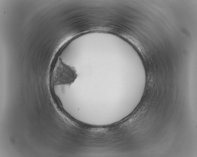 X0000115741135200912101309