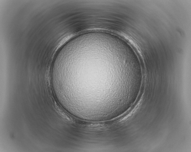 X0000115741137200912101309