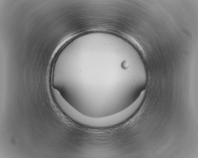 X0000115741138200912101309