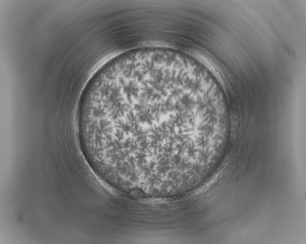 X0000115741141200912101309