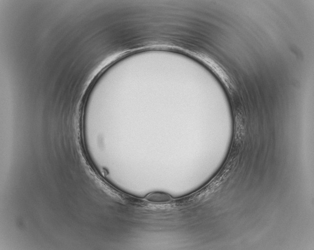 X0000115741142200912101309